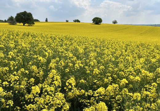 22-05-02 13-44-01 0727